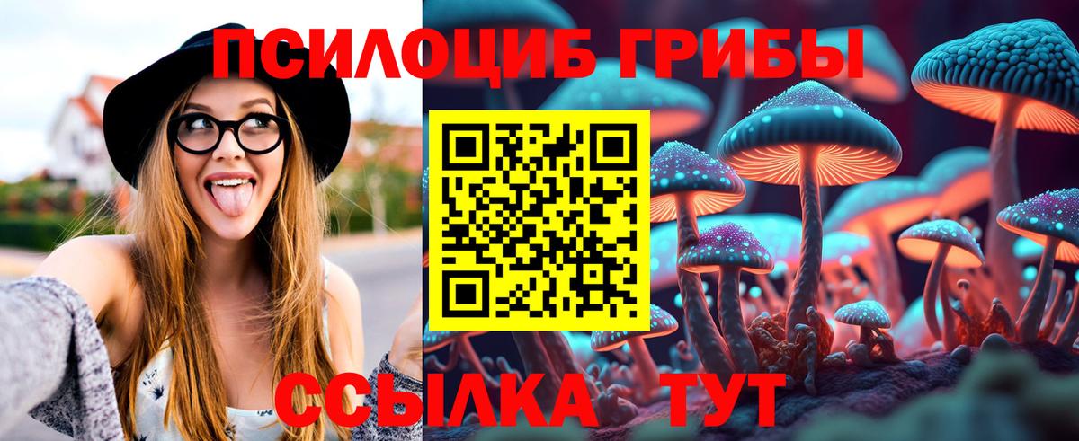 Галлюциногенные грибы прущие грибы Богданович