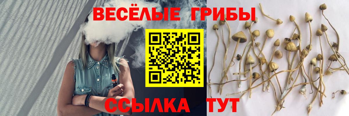Псилоцибиновые грибы ЛСД  Вход с VPN  магазин  наркотиков  Богданович 